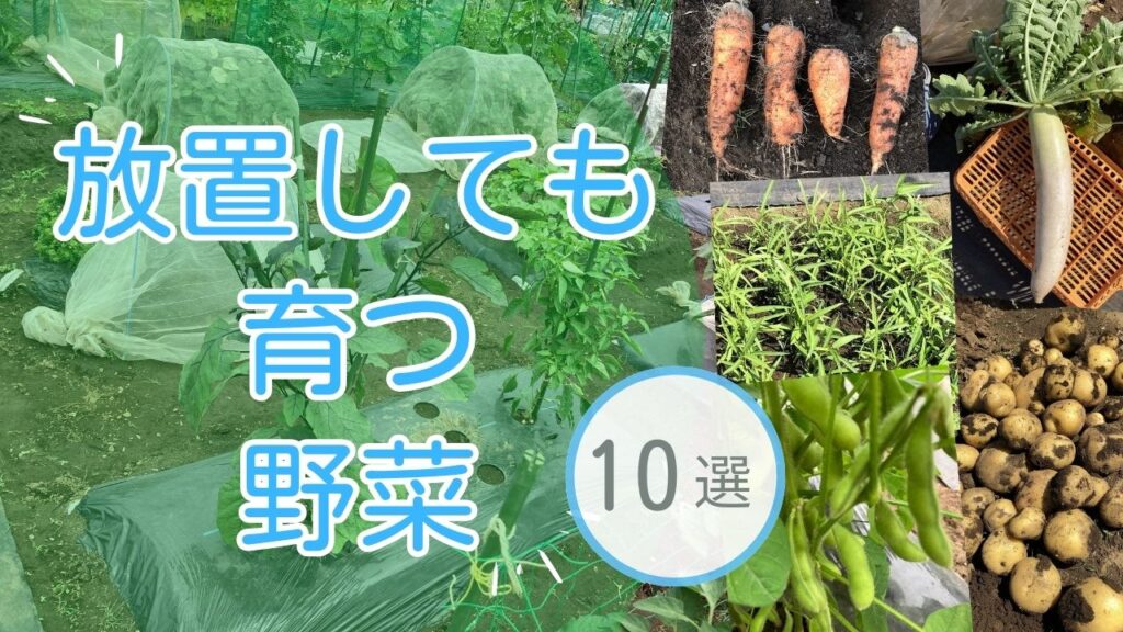 放置 育つ 野菜 10選