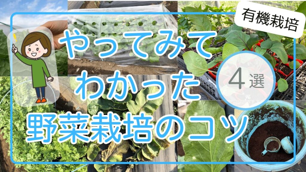 野菜 有機栽培 野菜栽培 コツ