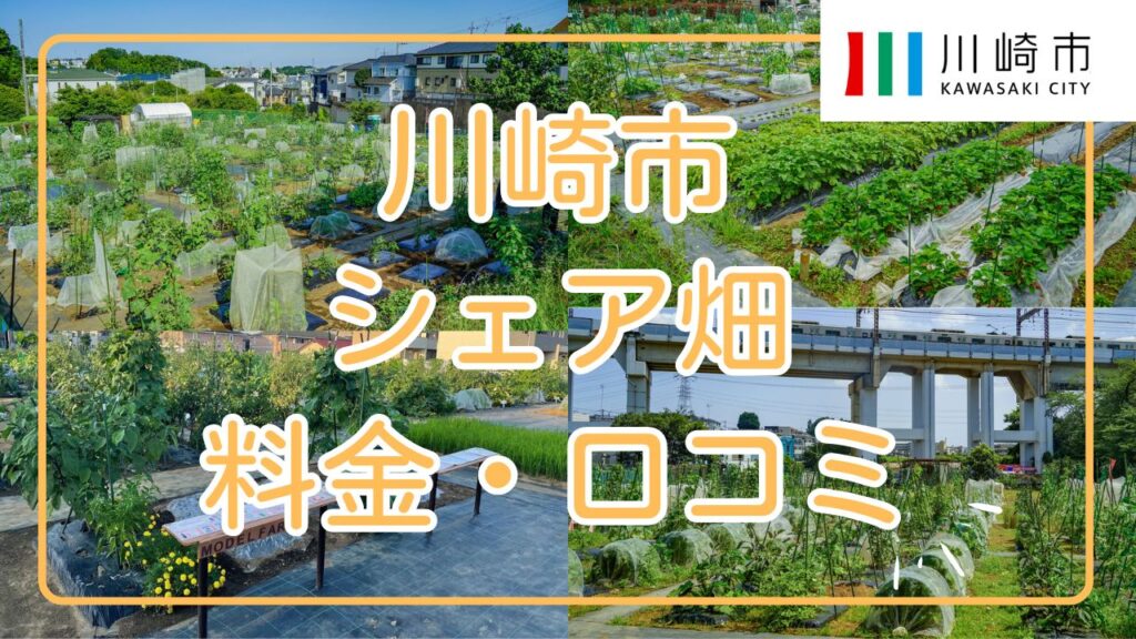 シェア畑 川崎 料金 口コミ