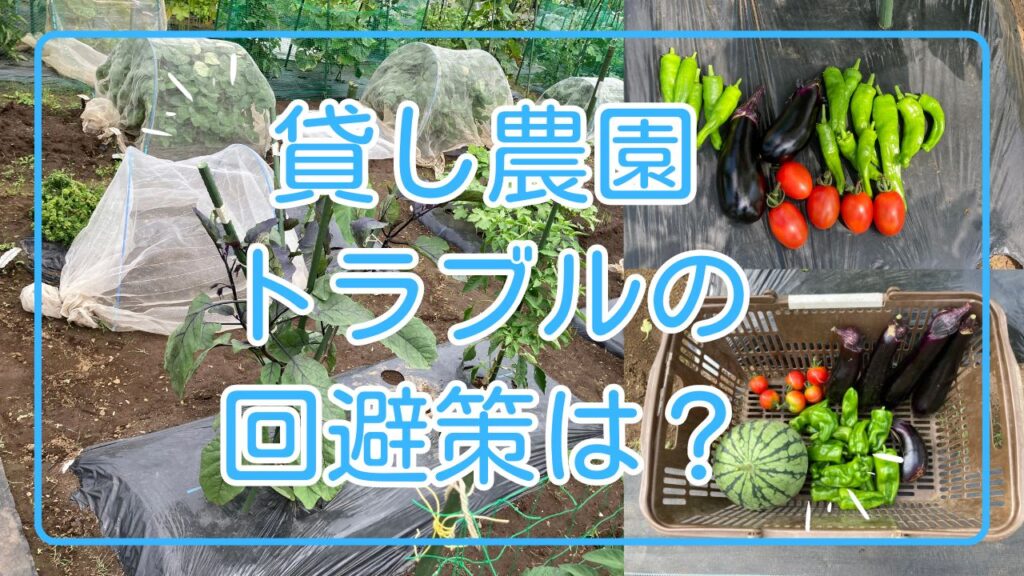 貸し農園 トラブル 回避策