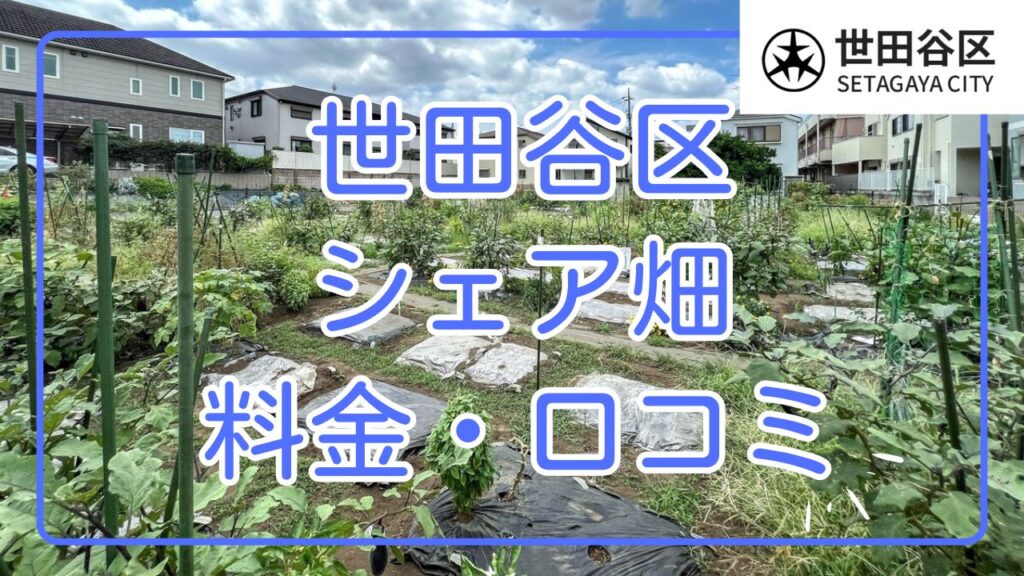 世田谷 シェア畑 料金比較