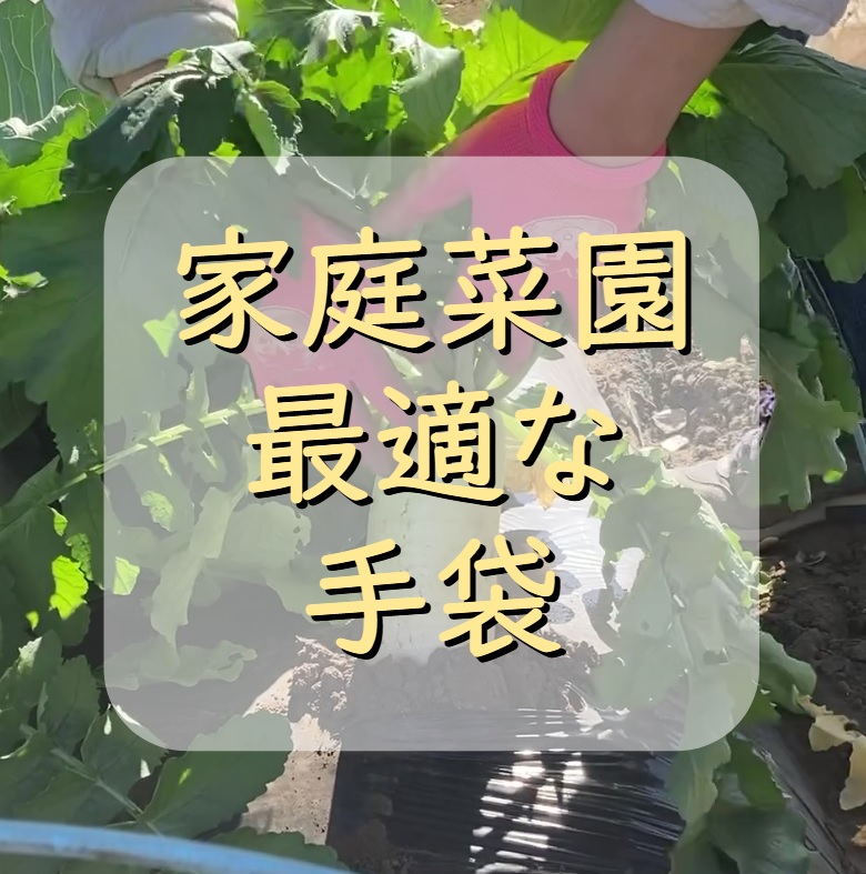 家庭菜園 最適な 手袋