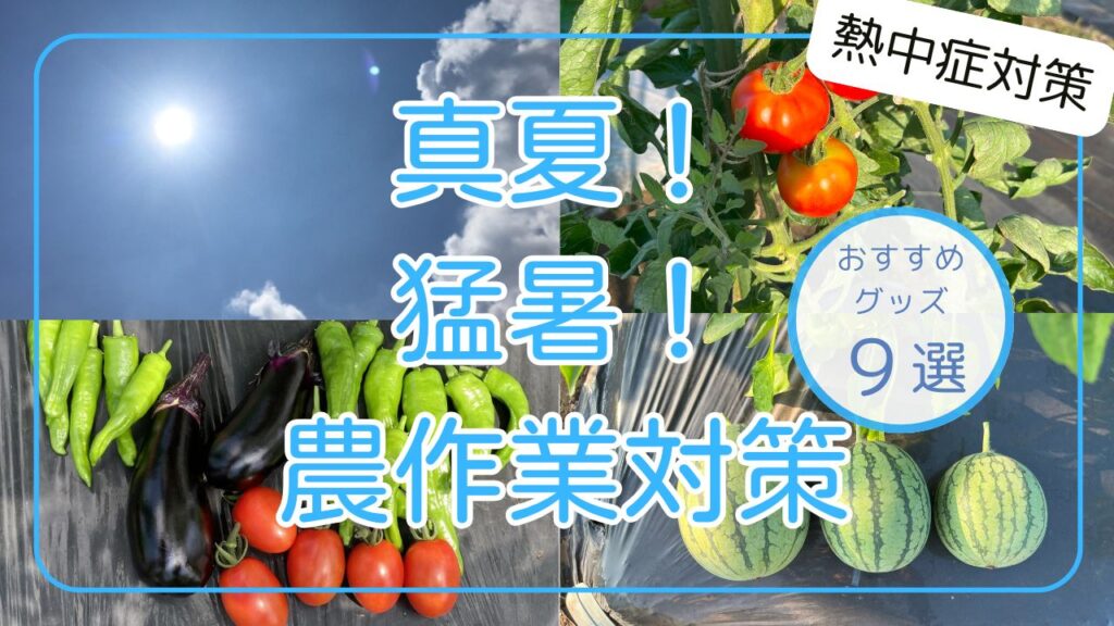 真夏 猛暑 農作業 対策 おすすめ グッズ