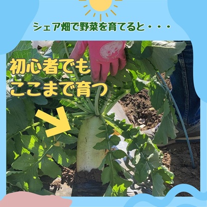 商品リンク